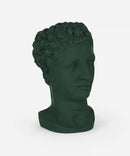 Sophia Enjoy Thinking | Hermes Vaso Pine