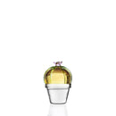 Fermacarte in vetro Borosilicato Cactus Desert Plant Ichendorf Milano