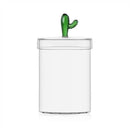 Ichendorf Milano | Scatola Cactus in Vetro Borosilicato Desert Plants