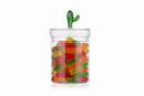 Ichendorf Milano | Scatola Cactus in Vetro Borosilicato Desert Plants
