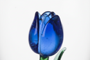 Ichendorf Milano | Bicchiere "Botanica" in vetro borosilicato
