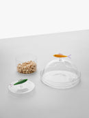 Ichendorf Milano | Scatola Sardina Marine Garden in Vetro Borosilicato