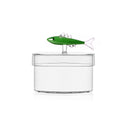 Ichendorf Milano | Scatola Sardina Marine Garden in Vetro Borosilicato