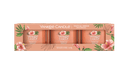 Yankee Candle Confezione  3 Candele Votive in Vetro Tropical Breeze