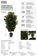 EDG Enzo De Gasperi | Agrifoglio Bacche con Vaso Anti-UV - H. 129 cm