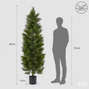 EDG Enzo De Gasperi | Cipresso con Vaso Anti-UV - H. 180 cm