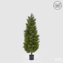 EDG Enzo De Gasperi | Cipresso con Vaso Anti-UV - H. 150 cm
