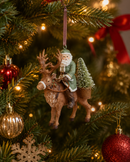 EDG Enzo De Gasperi | Addobbo Babbo Natale con Renna