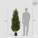 EDG Enzo De Gasperi | Cipresso con Vaso Anti-UV - H. 150 cm