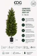EDG Enzo De Gasperi | Cipresso con Vaso Anti-UV - H. 150 cm
