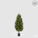 EDG Enzo De Gasperi | Cipresso con Vaso Anti-UV - H. 120 cm