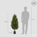 EDG Enzo De Gasperi | Cipresso con Vaso Anti-UV - H. 120 cm