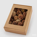 EDG Enzo De Gasperi | Pigne Pino Decorative Fumigate