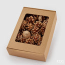 EDG Enzo De Gasperi | Pigne Pino Decorative Fumigate