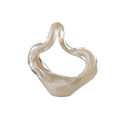 L'Oca Nera | Scultura Decorativa Resina Lucida