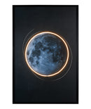 L'Oca Nera | Quadro con cornice e Led 80x120 cm.