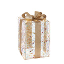 L'Oca Nera | Pacco Regalo Decoro LED