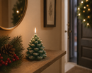 EDG Enzo De Gasperi | Candela Pigna Natalizia