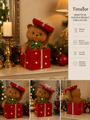 Timstor | Orso in Scatola Regalo con Luci Led