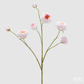 EDG Enzo De Gasperi | Rosa Ramo Con Foglie