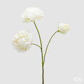 EDG Enzo De Gasperi | Peonia Ramo  3 boccioli