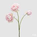 EDG Enzo De Gasperi | Peonia Ramo  3 boccioli