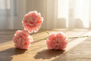 EDG Enzo De Gasperi | Peonia Ramo  3 boccioli