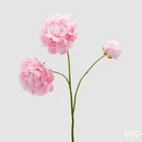 EDG Enzo De Gasperi | Peonia Ramo  3 boccioli