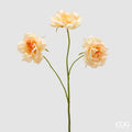 EDG Enzo De Gasperi | Rosa Ramo x3