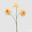 EDG Enzo De Gasperi | Rosa Ramo x3