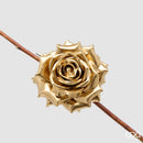 EDG Enzo De Gasperi | Rosa Glossy Clip Decoro