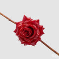 EDG Enzo De Gasperi | Rosa Glossy Clip Decoro