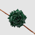 EDG Enzo De Gasperi | Rosa Glossy Clip Decoro