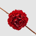EDG Enzo De Gasperi | Peonia Glossy Clip Decoro