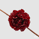 EDG Enzo De Gasperi | Peonia Glossy Clip Decoro