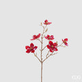 EDG Enzo De Gasperi | Magnolia Glossy Ramo