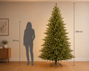 Kaemingk | Albero di Natale Grandis Fir con 4200 LED - H. 210 cm Luce Bianca Calda