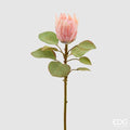 EDG Enzo De Gasperi | Fiore Artificiale Protea Olis con Ramo e 8 Foglie
