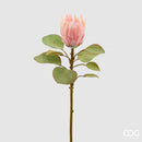 EDG Enzo De Gasperi | Fiore Artificiale Protea Olis con Ramo e 8 Foglie