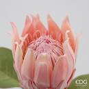 EDG Enzo De Gasperi | Fiore Artificiale Protea Olis con Ramo e 8 Foglie