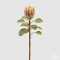 EDG Enzo De Gasperi | Fiore Artificiale Protea Olis con Ramo e 8 Foglie
