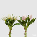 EDG Enzo De Gasperi | Tulipano Olis mazzolino da 5 pZ. 🌷