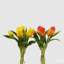 EDG Enzo De Gasperi | Tulipano Olis mazzolino da 5 pZ. 🌷