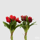 EDG Enzo De Gasperi | Tulipano Olis mazzolino da 5 pZ. 🌷