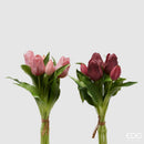 EDG Enzo De Gasperi | Tulipano Olis mazzolino da 5 pZ. 🌷