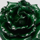 EDG Enzo De Gasperi | Decoro Ramo Rosa Glossy