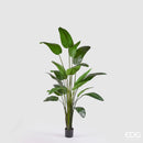 EDG Enzo De Gasperi | Pianta artificiale Sterlizia Green