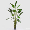 EDG Enzo De Gasperi | Pianta artificiale Sterlizia Green