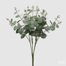 EDG Enzo De Gasperi Cespuglio di Eucalipto H 50 cm