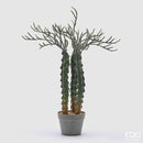 Pianta Artificiale Cactus Cereus con Vaso EDG Enzo De Gasperi